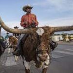 texas4