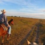 texas6