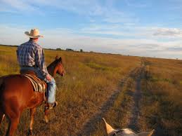 texas6